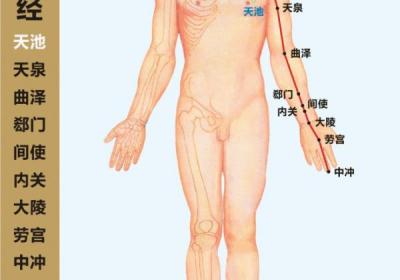 人体十二经脉——手厥阴心包经循行路线图及9个穴位位置图