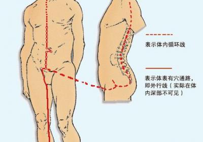 奇经八脉——冲脉循行图