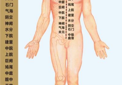 人体奇经八脉——任脉经脉循行图及穴位