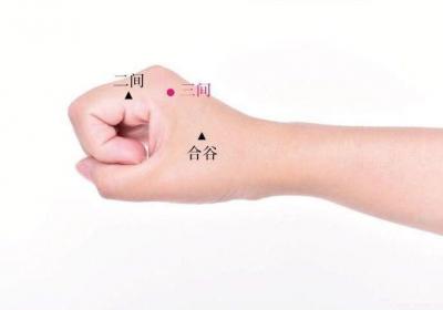 三间穴——上可治眼病、牙痛、咽喉痛，下可治便秘、痔疮疼痛