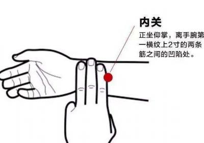 内关穴——有事没事按这里，横扫胸中之苦闷