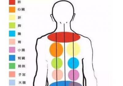 秋后养背人活百岁，经络一通人体轻松！