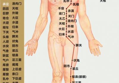 让身体一直年轻的3步曲 ：通胃经、补脾经、摩关元