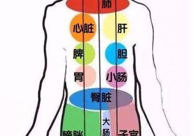 背部经络畅通，背薄一寸百病消退，命延十年！四种背部保养法