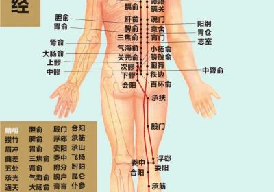 经络不通怎么办，应当先调哪条经？