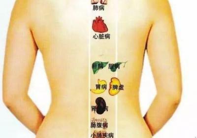 夏季养生经络穴位调理——夏季做背百病消退