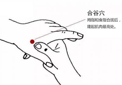 人体气血的“开关”，记住合谷和太冲