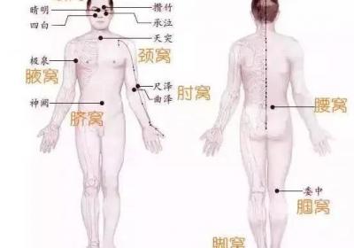 身体上9大养生窝各有妙用，按揉它们缓解身体不同症状，坚持按揉更健康