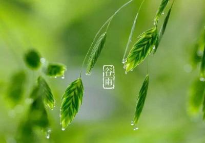 24节气养生——谷雨节气食疗养生