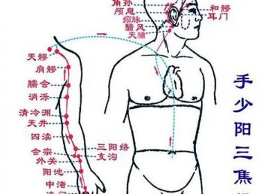 三焦经是贯通全身的水沟，但三焦的作用也各不相同
