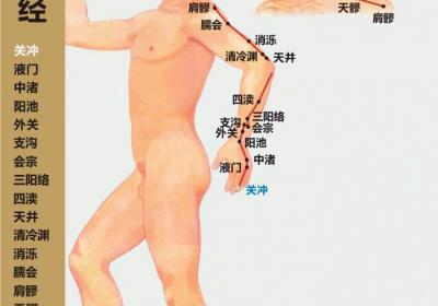 三焦经——人体健康的总指挥,三焦经堵了基本上就和健康说再见了