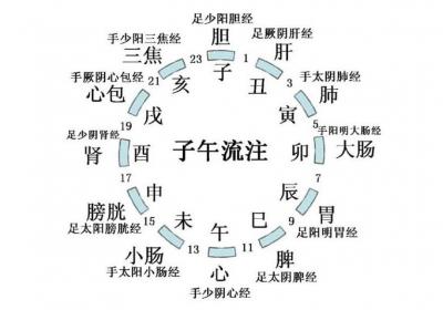 《子午流注》人体血液循环时间表