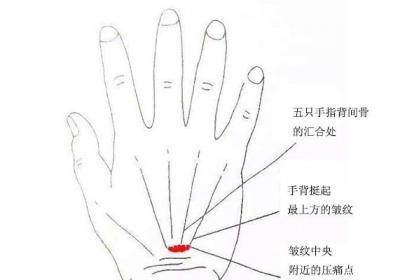 四大穴位调全身, 风寒湿火一扫光!