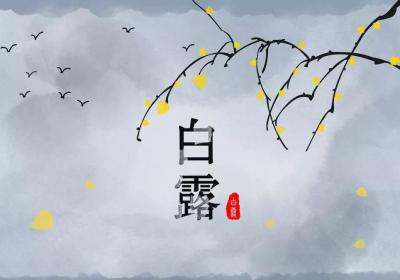 24节气养生——白露节气养生要点