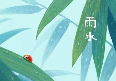24节气第二个节气——雨水，雨水节气与饮食养生