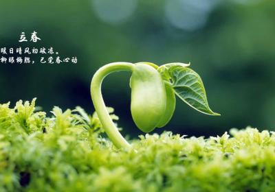 2020年第一个节气——立春，做好这两件事，一年少生病