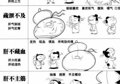 肝主疏泄表现在哪几个方面？