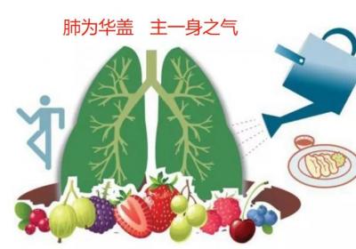 养肺吸清气排浊气，清肺、润肺、宣肺的区别