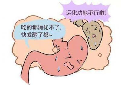 为什么说脾为后天之本？脾和皮肤的关系