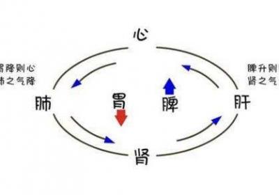 气血不足怎么调养呢？试试这四个中医调理步骤