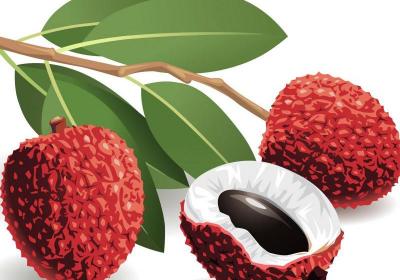 如何正确吃荔枝 收下这份科学食用指南