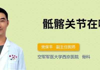 骶髂关节在哪