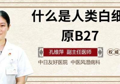 什么是人类白细胞抗原B27