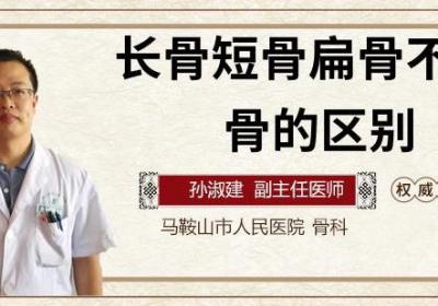 长骨短骨扁骨不规则骨的区别