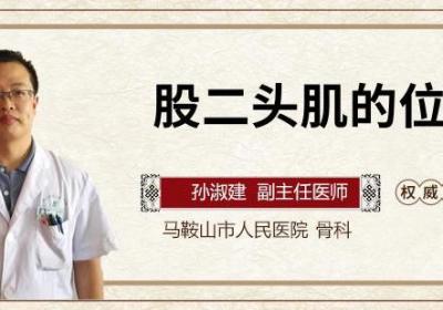 股二头肌的位置