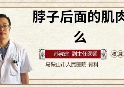 脖子后面的肌肉叫什么