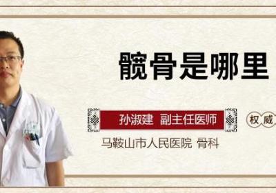 髋骨是哪里