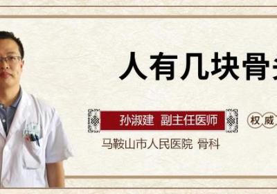 人有几块骨头