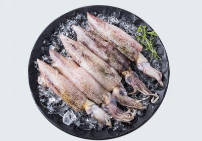 鱿鱼的营养价值有哪些
