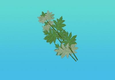 三伏灸的好处有哪些