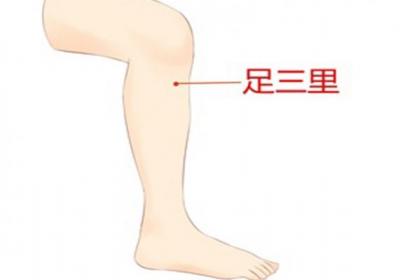 湿气重三伏贴贴哪里