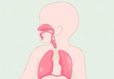 小孩被蛇咬后的注意事项