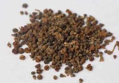 山茱萸和吴茱萸哪种好吃