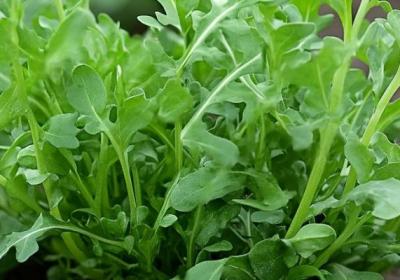 荠菜豆腐羹的做法是什么