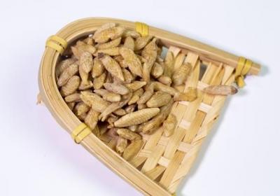 中药麦冬怎么煮水喝