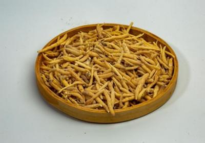 太子参麦冬黄芪适合什么体质
