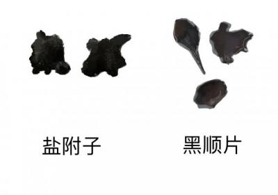 黑顺片要先煎吗