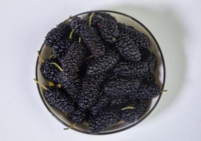 桑葚怎么吃最好
