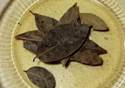 煮羊肉需要哪些调料