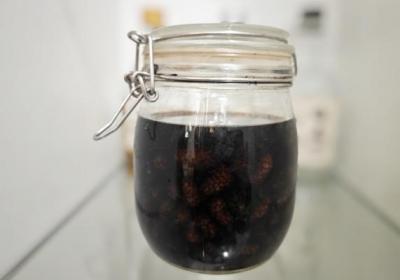 桑葚干泡酒的功效与作用