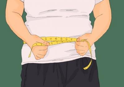 吃羊肉会不会长胖