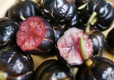 红果参怎么食用