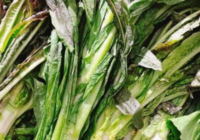 春分吃什么蔬菜最好