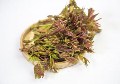 春分应该吃什么食物