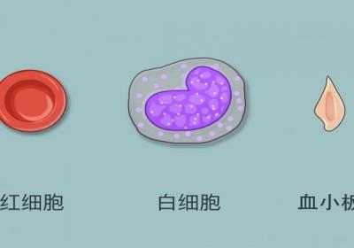 紫杉醇的疗效有什么