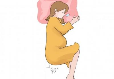 苏子叶什么人不能吃